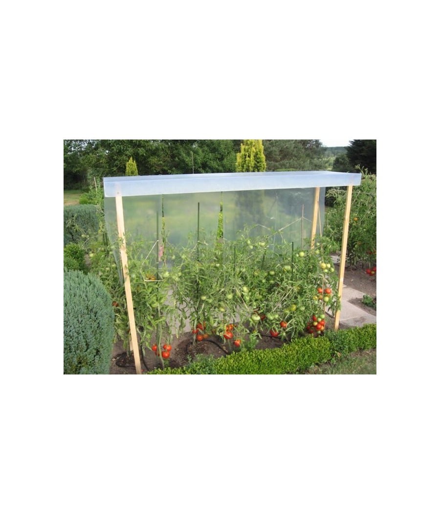 Ensemble toiture pour plants de tomates